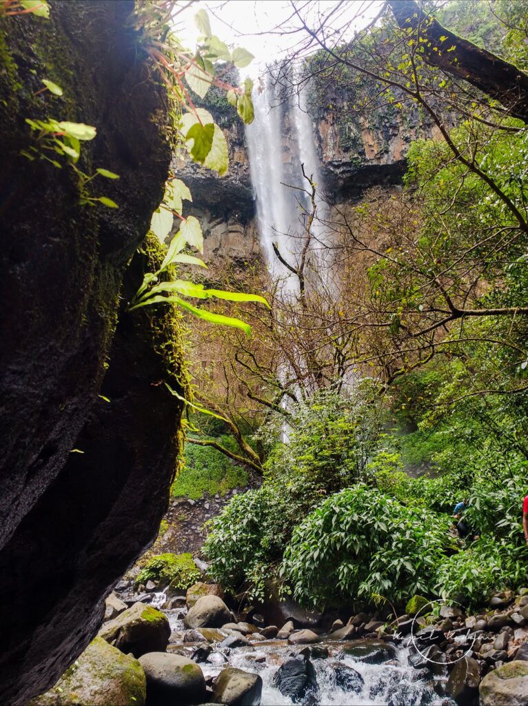 secret waterfall trek in goa