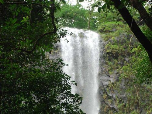 famous waterfalls in south goa